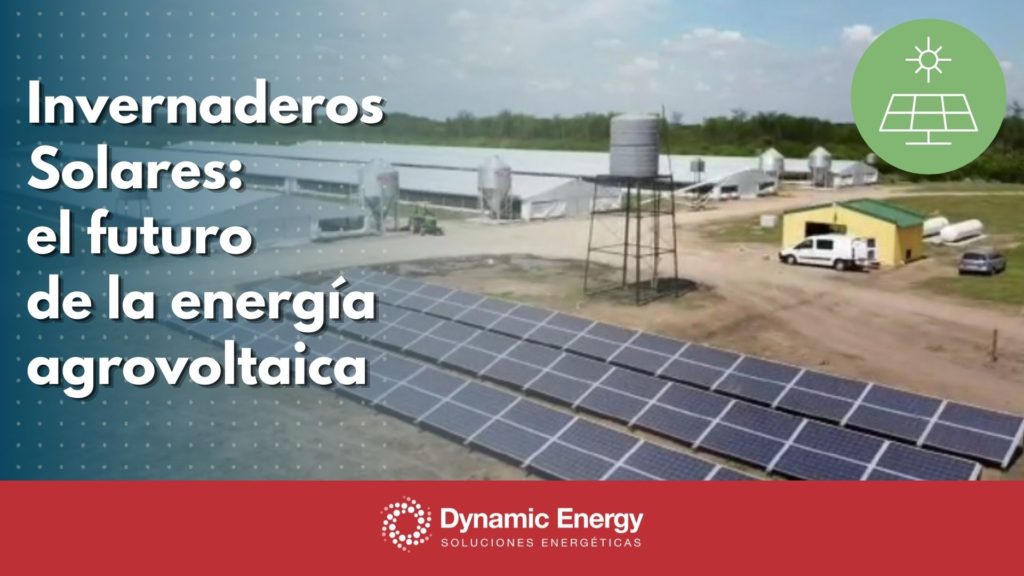 Invernadero solar - energia agrovoltaica - Dynamic Energy