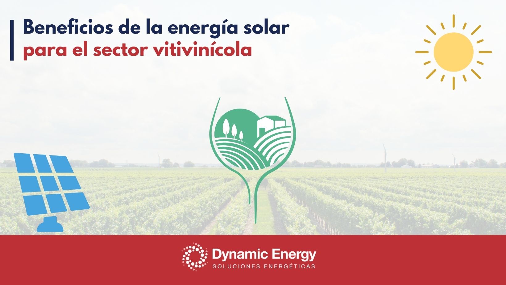 Beneficios de la energía solar para el sector vitivinícola - Dynamic Energy